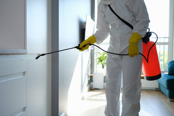 Best Asbestos and Lead Testing During Mold Inspection  in California, PA